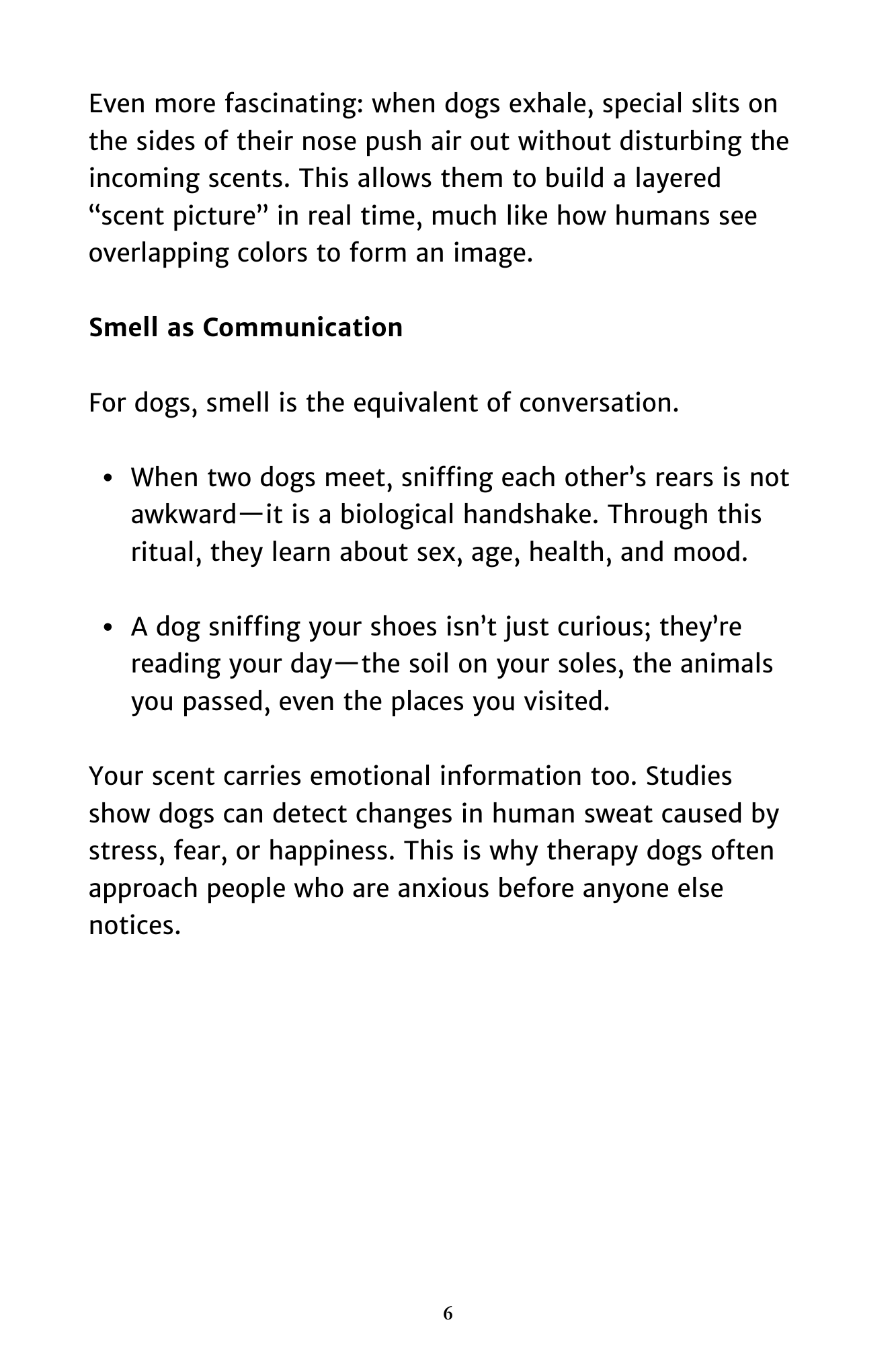 Inside a Dog’s Mind: What They Think, Feel, and Know About Us