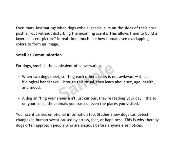 Inside a Dog’s Mind: What They Think, Feel, and Know About Us